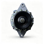 Diesel Engine Alternator
